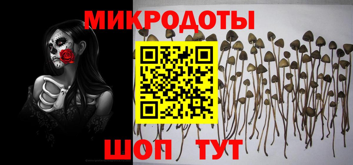 купить  цена  Вход с VPN  Абинск  Псилоцибиновые грибы Magic Shrooms 